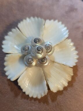Handcrafted Cream Floral Shell Brooch - Women Jewelry